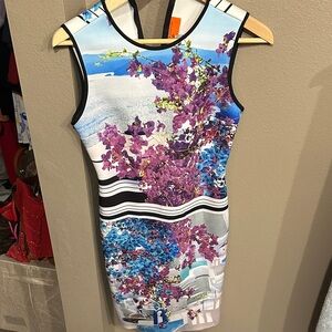 Clover Canyon Purple and Blue Floral Mini Dress